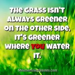 The grass isn't always greener on the other side - Mesmerizing Quotes