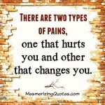 There are two types of pains - Mesmerizing Quotes