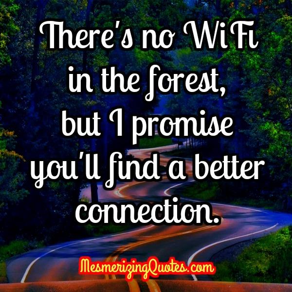 There's no WIFI in the forest - Mesmerizing Quotes